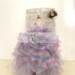 Rainbow Ruffle Tulle Butterfly Beaded Sequin Backless Wedding Flower Girl Dress Kids Birthday Party Ball Gown Dress